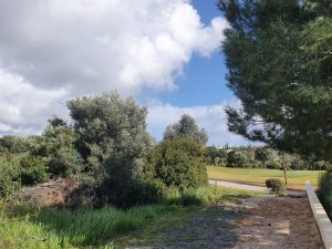 1,563m² Residential Plot for Sale in Aphrodite Hills, Paphos District