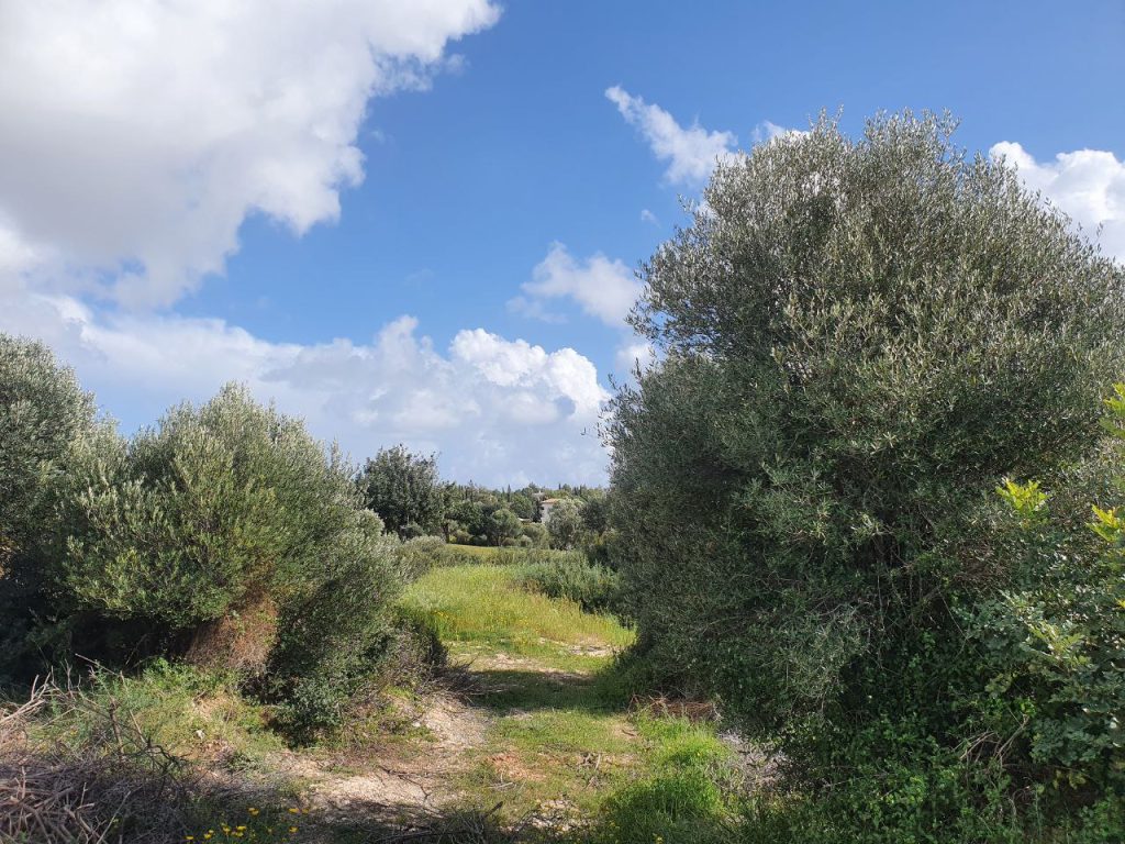 1,563m² Residential Plot for Sale in Aphrodite Hills, Paphos District