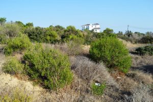 583m² Land for Sale in Alethriko, Larnaca District