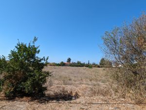 21,405m² Residential Plot for Sale in Geroskipou, Paphos District