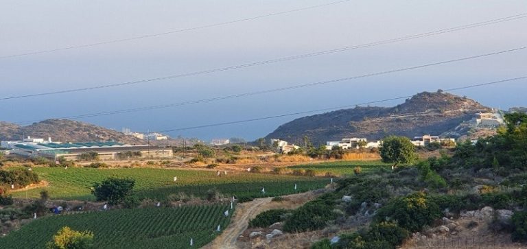 11,914m² Residential Plot for Sale in Agios Tychonas, Limassol District