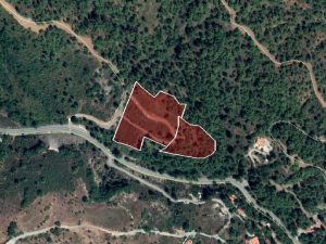 17,113m² Plot for Sale in Pera Pedi, Limassol District