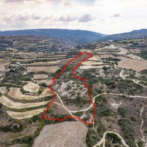 20,880m² Plot for Sale in Theletra, Paphos District