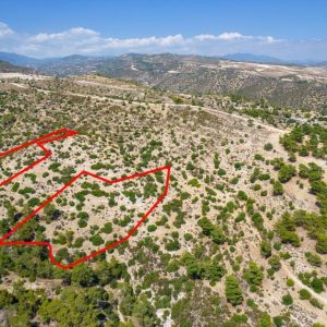 26,088m² Plot for Sale in Paphos District