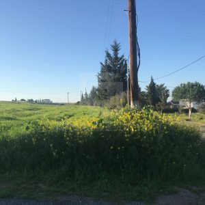 8,222m² Plot for Sale in Nicosia District