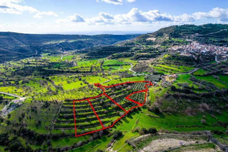 16,545m² Plot for Sale in Dora, Limassol District