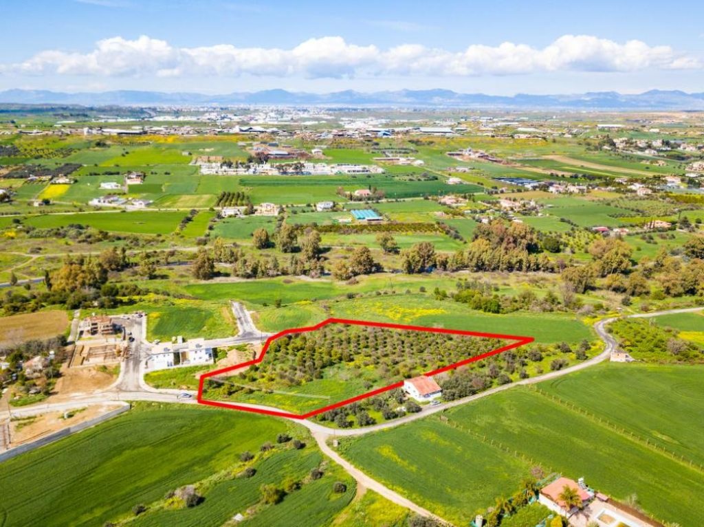 9,309m² Plot for Sale in Dali, Nicosia District