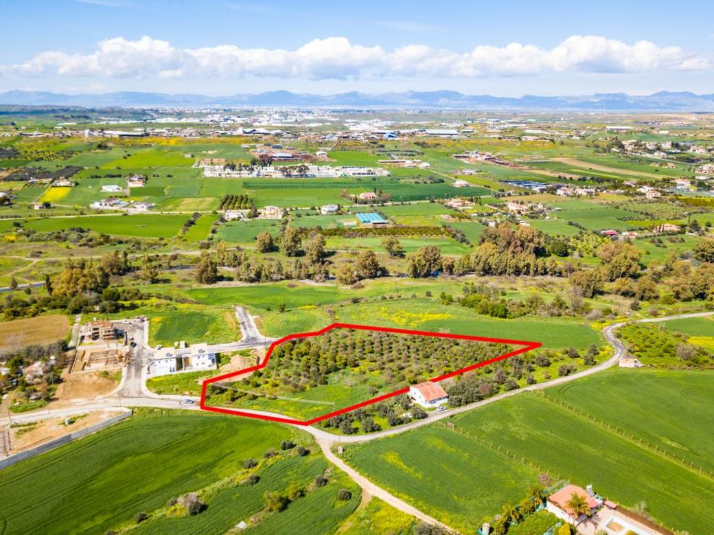 9,309m² Plot for Sale in Dali, Nicosia District