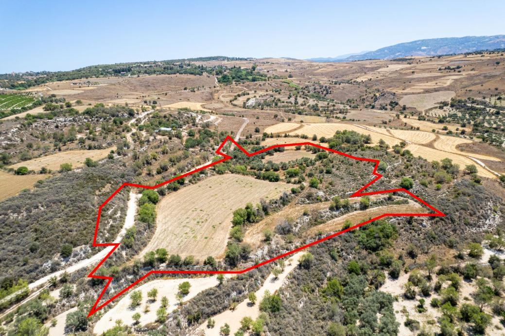 29,098m² Plot for Sale in Lasa, Paphos District