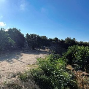 1,338m² Plot for Sale in Peyia, Paphos District