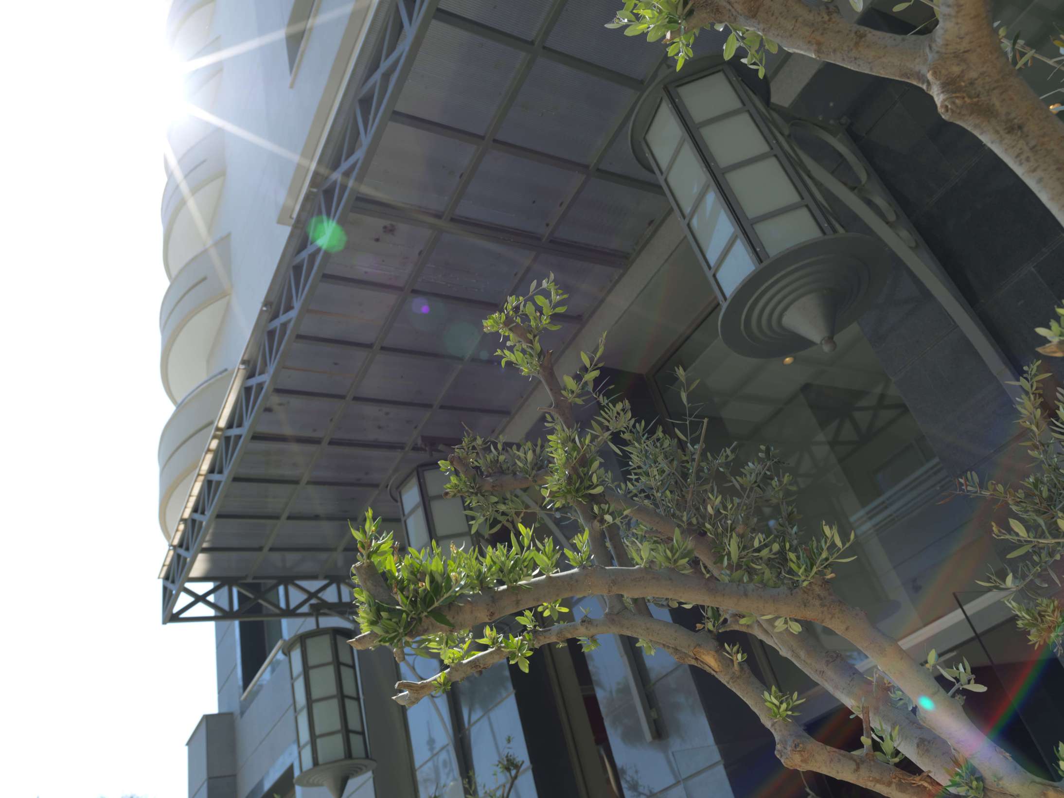 Tessera Fanaria – The Waterfront