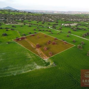 5,352m² Land for Sale in Paphos – Agios Theodoros, Larnaca District