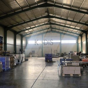 1000m² Warehouse for Sale in Dali, Nicosia District