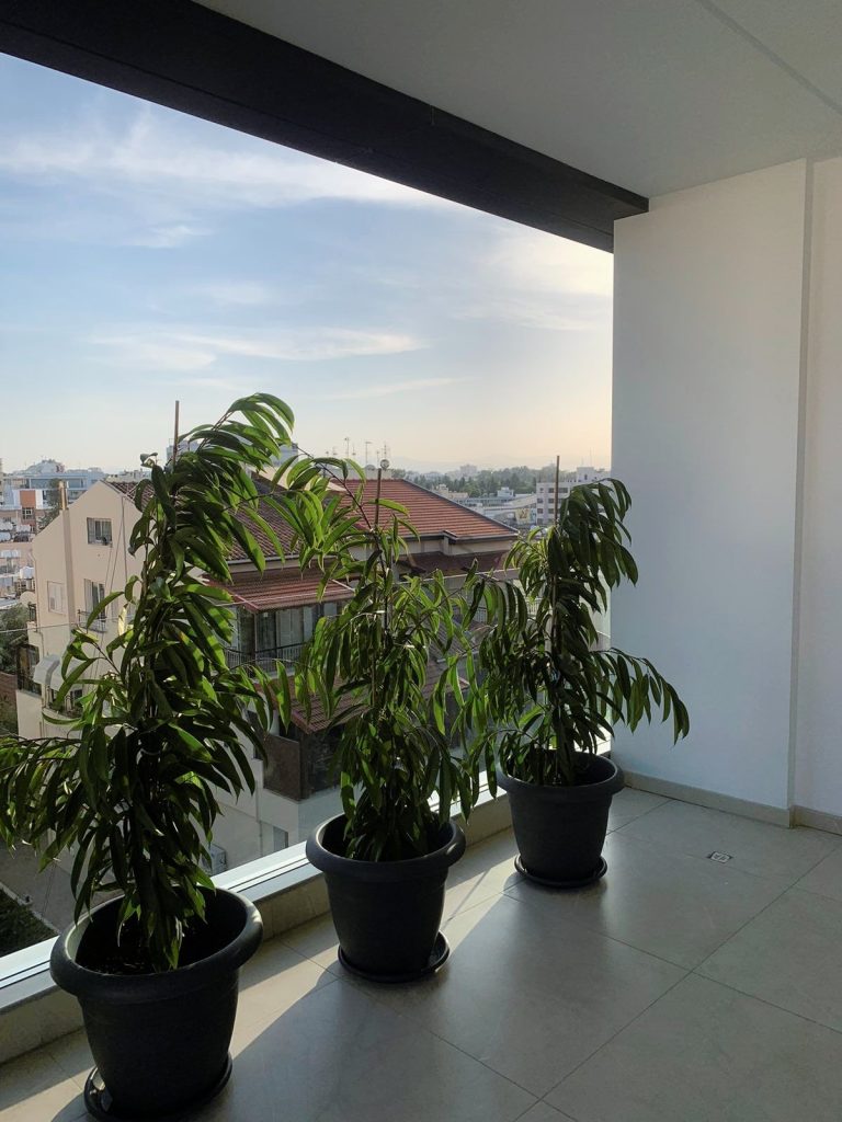 Cheap Apartments for Rent Nicosia up to 1000 euro