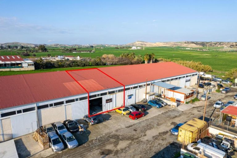 310m² Warehouse for Sale in Livadia Larnakas, Larnaca District