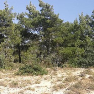 9,365m² Commercial Plot for Sale in Neo Chorio Pafou, Paphos District