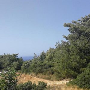 9,365m² Commercial Plot for Sale in Neo Chorio Pafou, Paphos District