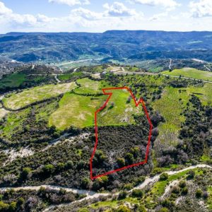 12,041m² Commercial Plot for Sale in Salamiou, Paphos District