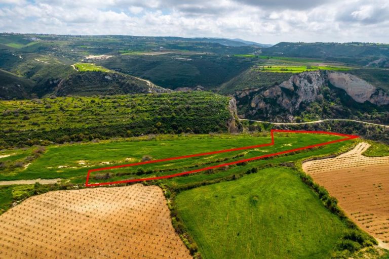 4,480m² Commercial Plot for Sale in Pano Arodes, Paphos District