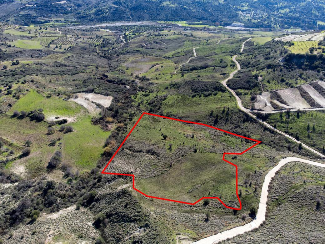 17,057m² Commercial Plot for Sale in Trachypedoula, Paphos District