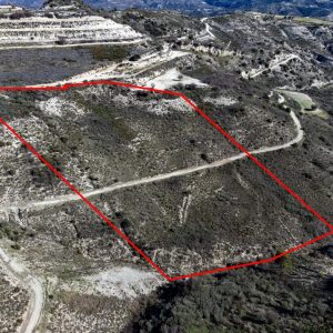 13,379m² Commercial Plot for Sale in Trachypedoula, Paphos District