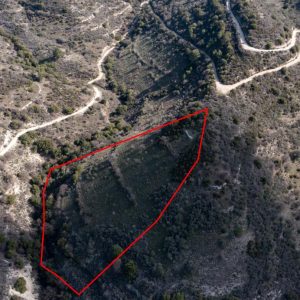 12,041m² Plot for Sale in Dora, Limassol District