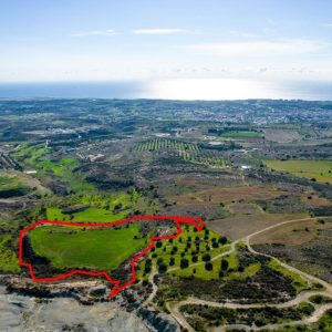 16,389m² Commercial Plot for Sale in Armou, Paphos District