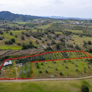 9,365m² Commercial Plot for Sale in Nikitari, Nicosia District