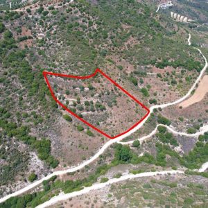 9,031m² Plot for Sale in Dora, Limassol District