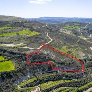 7,358m² Plot for Sale in Praitori, Paphos District