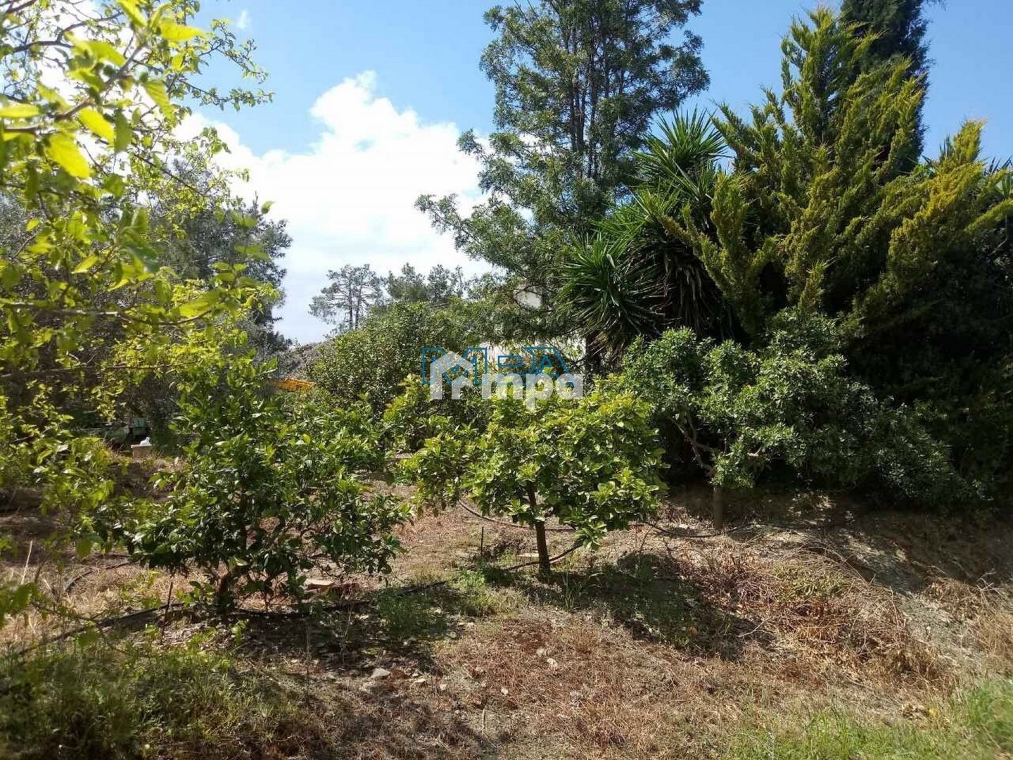 3 Bedroom House for Sale in Sia, Nicosia District