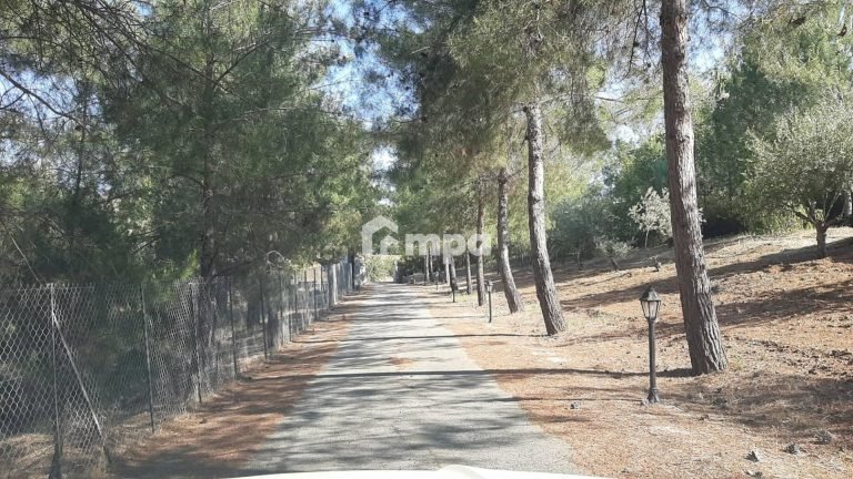 Cheap Houses and Villas for Sale Nicosia up to 800000 euro