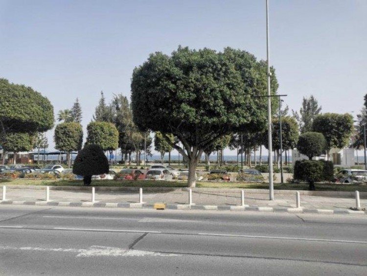 250m² Commercial for Rent in Limassol District
