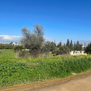 13,945m² Plot for Sale in Latsia, Nicosia District