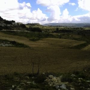 30,101m² Plot for Sale in Paphos District