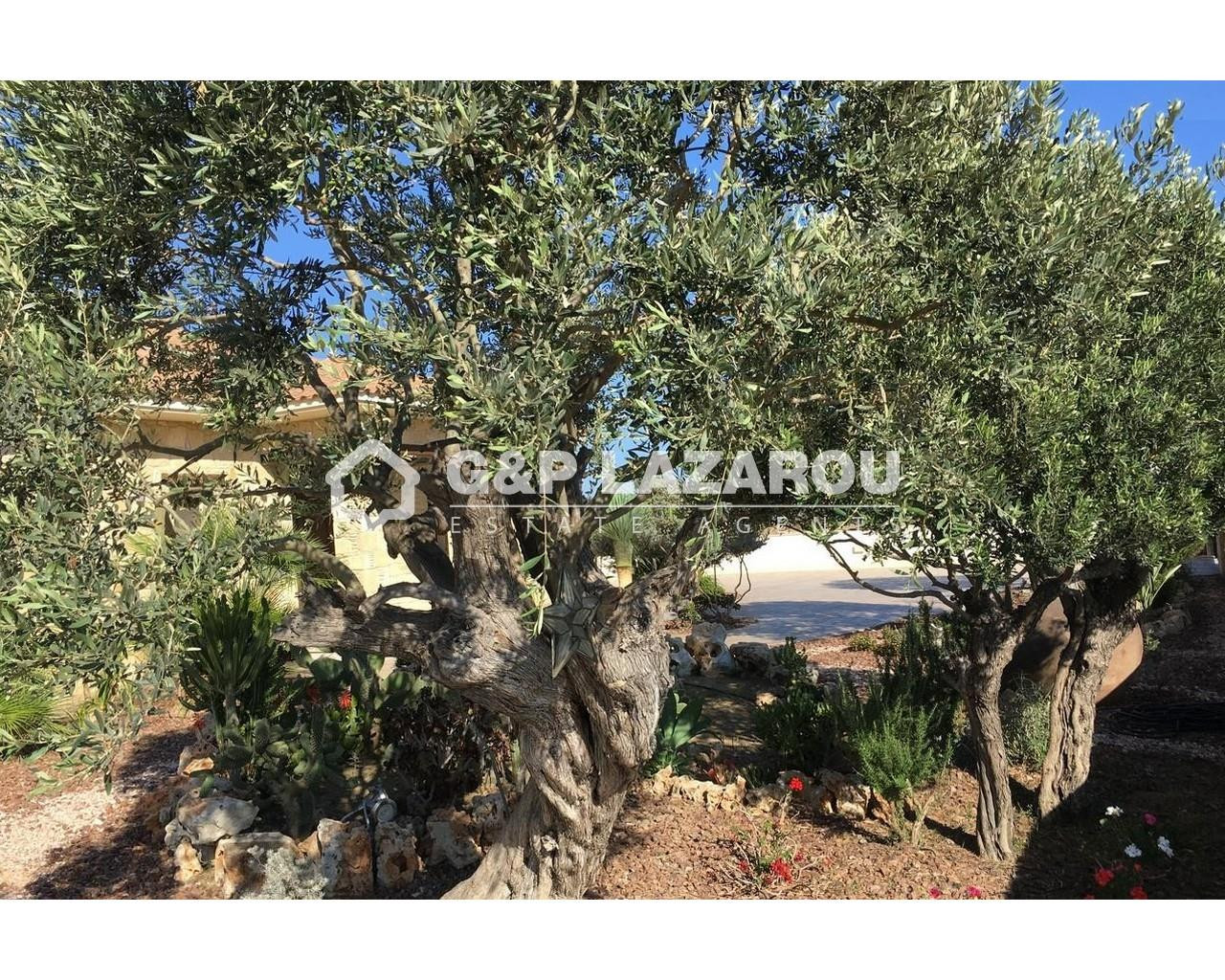5 Bedroom House for Sale in Pentakomo, Limassol District