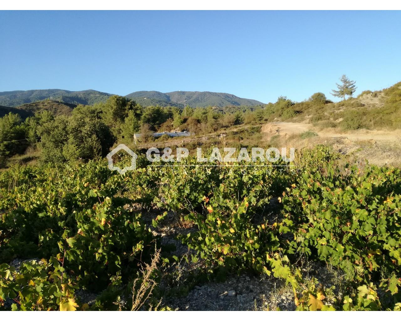 11,477m² Plot for Sale in Mandria, Limassol District