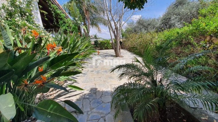3 Bedroom House for Rent in Kokkinotrimithia, Nicosia District