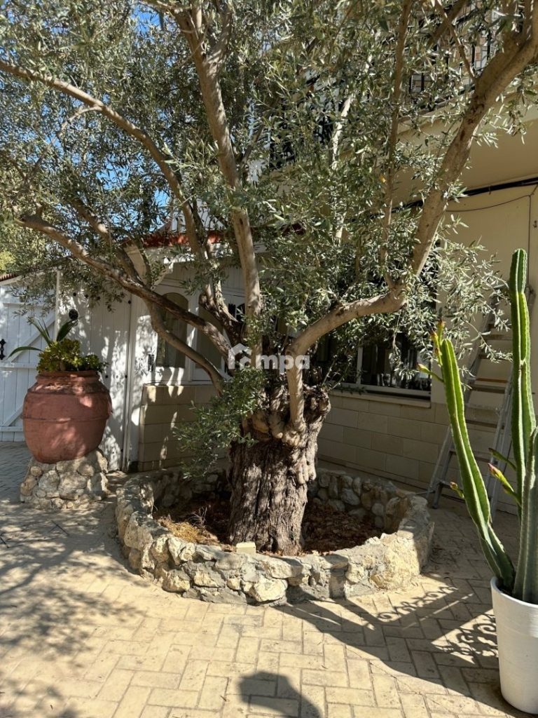 1750m² Commercial for Sale in Tseri, Nicosia District