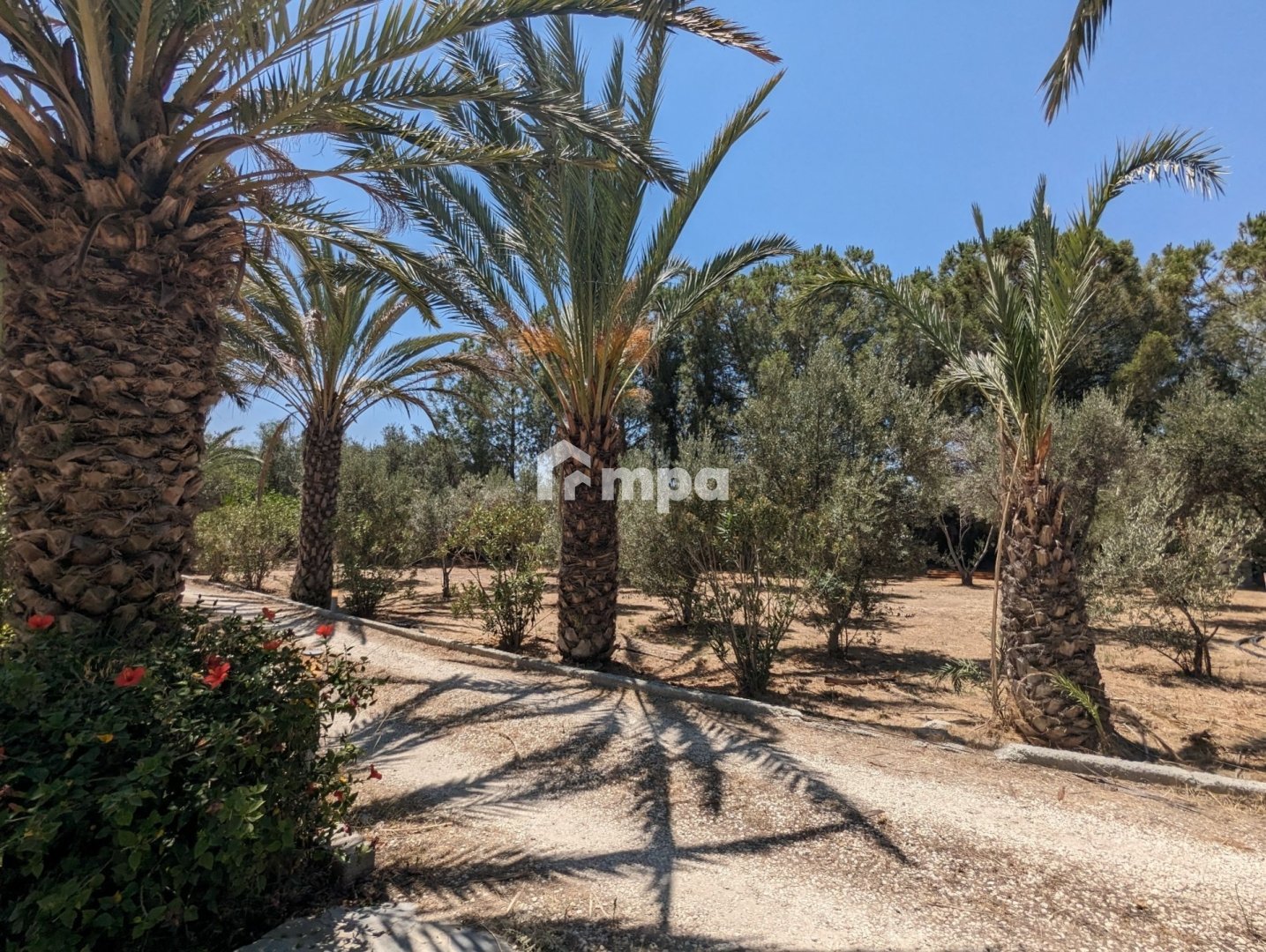 6+ Bedroom House for Sale in Ergates, Nicosia District