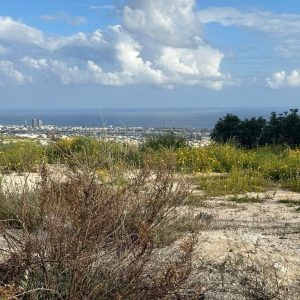 1,612m² Plot for Sale in Limassol – Panthea