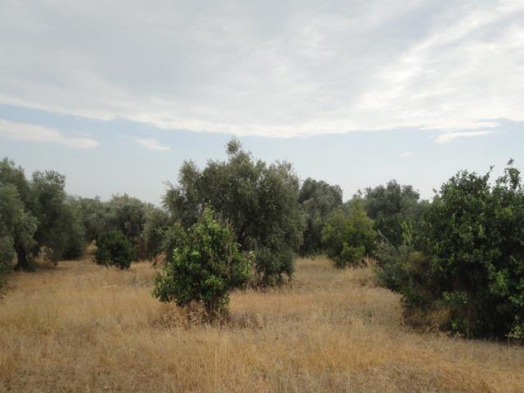 2,676m² Plot for Sale in Limassol