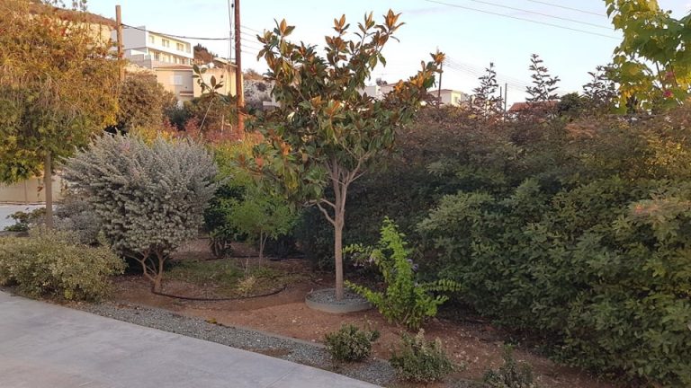 Σπίτι 4 Υπνοδωματίων προς Ενοικίαση στην Τσάδα, Επαρχία Πάφου