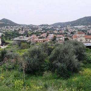 242m² Plot for Sale in Palodeia, Limassol District