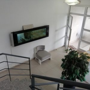 394m² Building for Sale in Limassol – Agios Spyridon