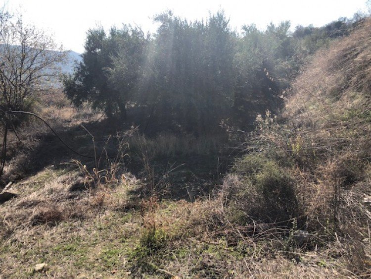 Plots of Land for Sale