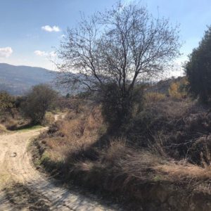 7,024m² Plot for Sale in Silikou, Limassol District