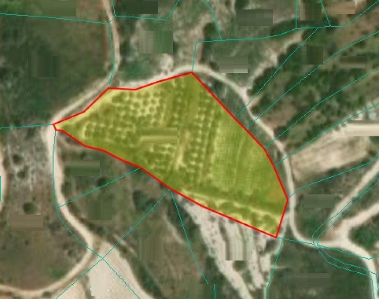 Plots of Land for Sale