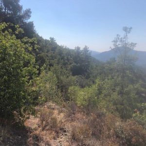 825m² Plot for Sale in Moniatis, Limassol District