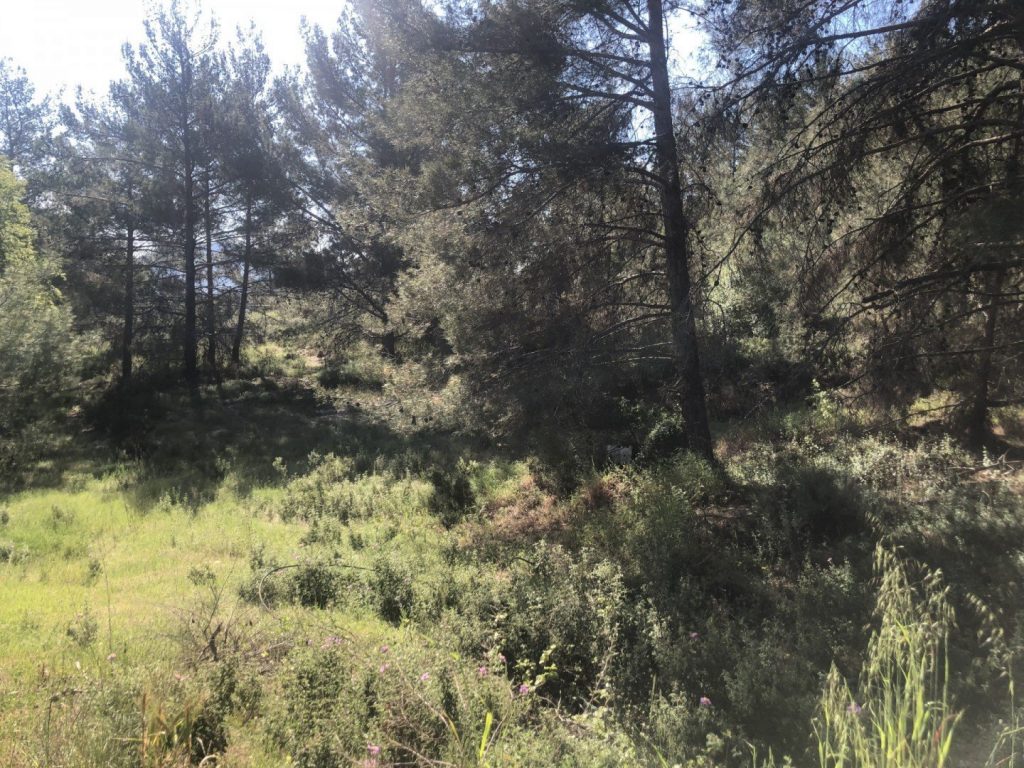 4,050m² Plot for Sale in Pera Pedi, Limassol District
